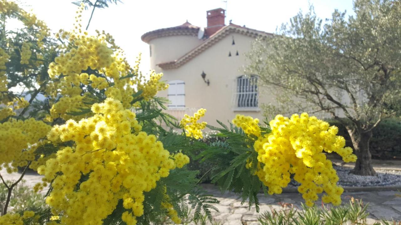 Le Relais Fleuri Hotell Alès Eksteriør bilde